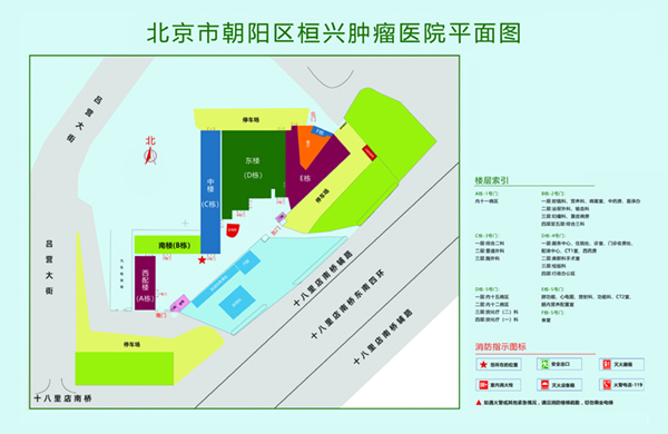 逼日逼网站北京市朝阳区桓兴肿瘤医院平面图